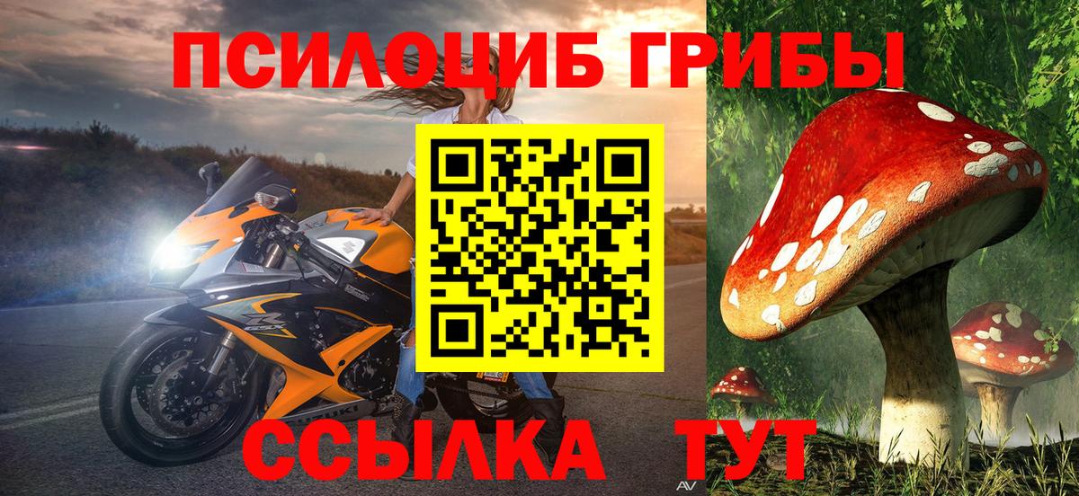 Галлюциногенные грибы MAGIC MUSHROOMS  Вход с VPN  Долгопрудный  Галлюциногенные грибы Cubensis 